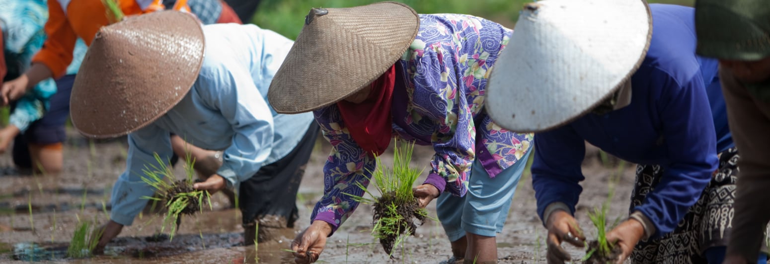 Info terkini lowongan kerja area : Loker Class Mild Parepare - Halaman Utama Sampoerna Id